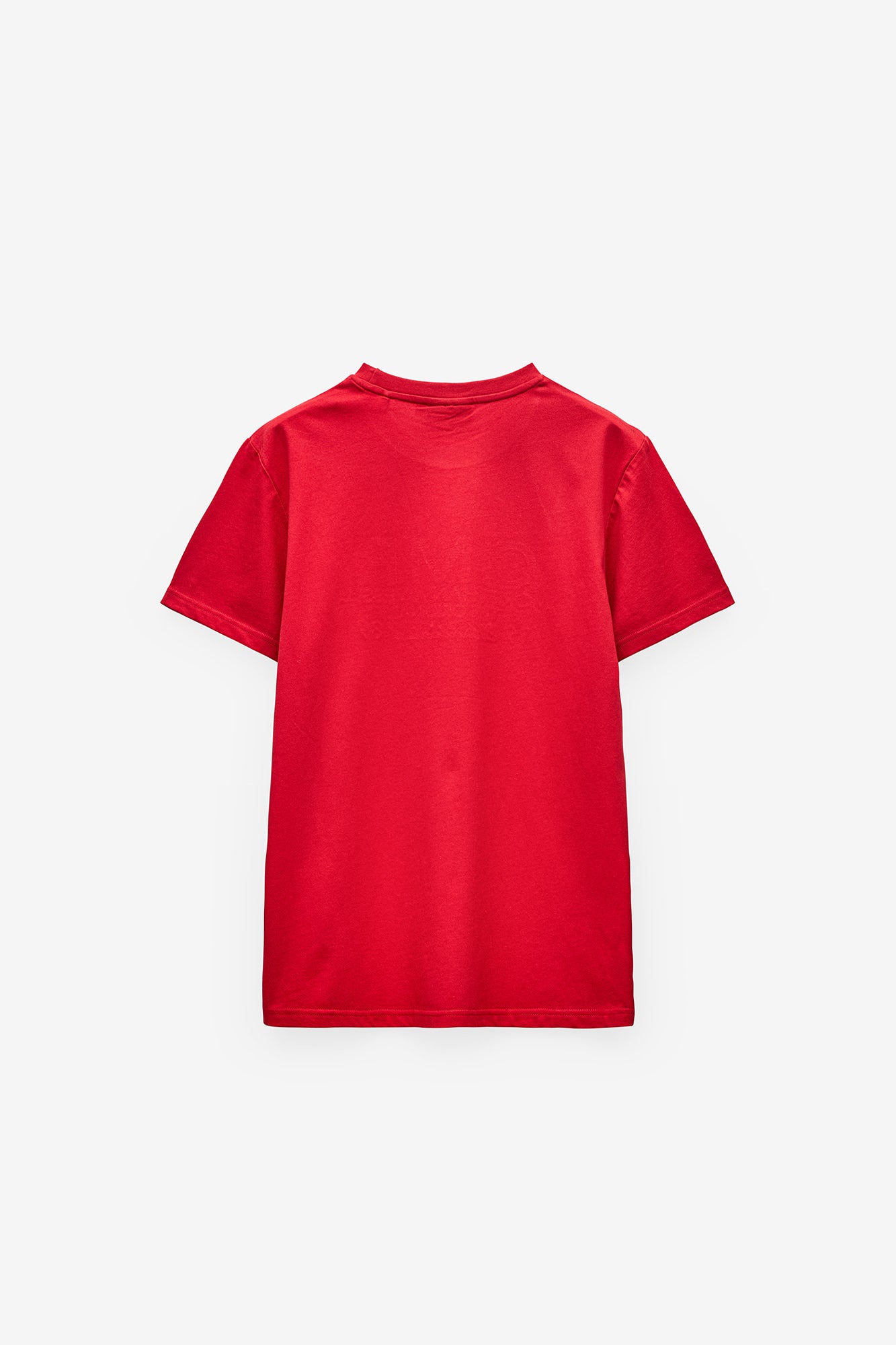 CAMISETA CON BORDADO