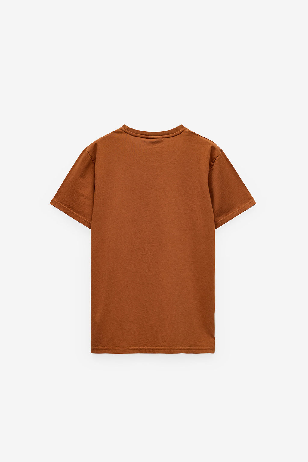 T-SHIRT SALTED WATERS