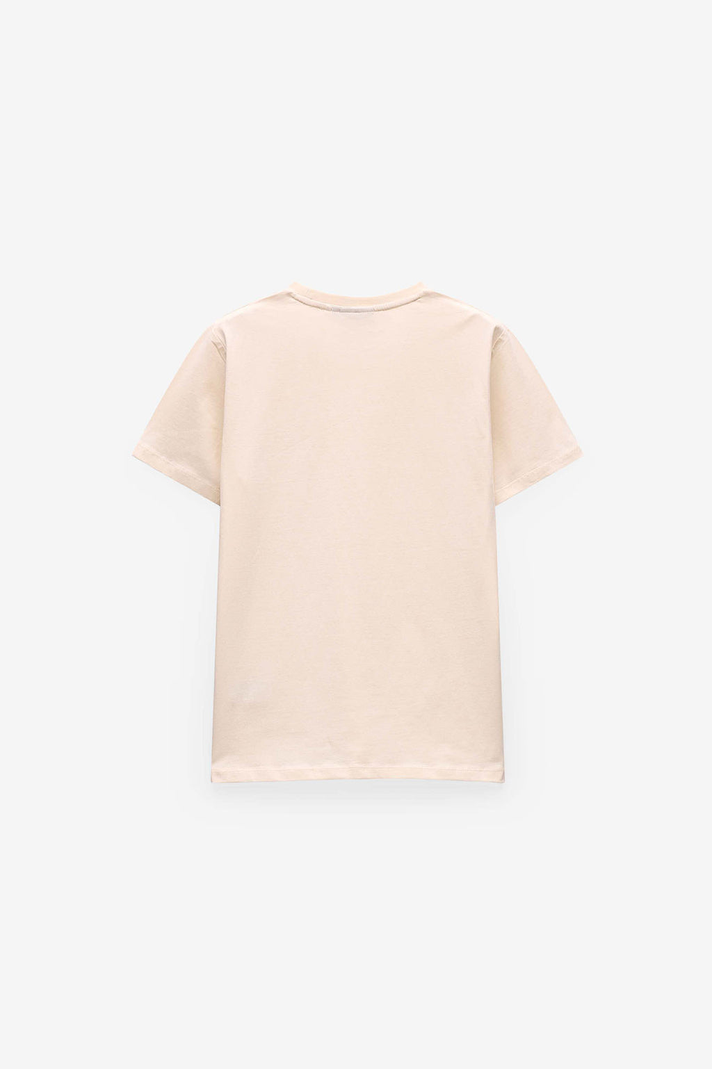 T-SHIRT PRINT PALMEIRA