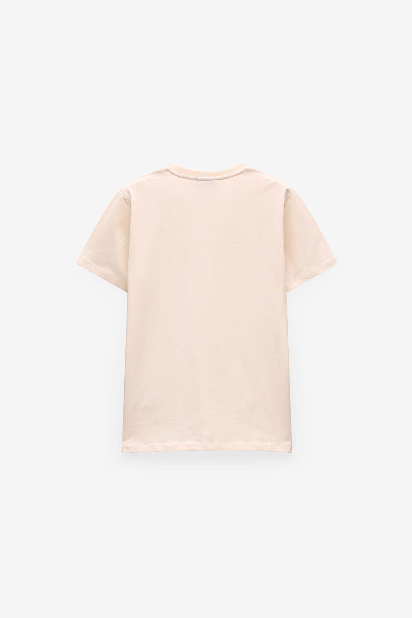 T-SHIRT PRINT PALMEIRA