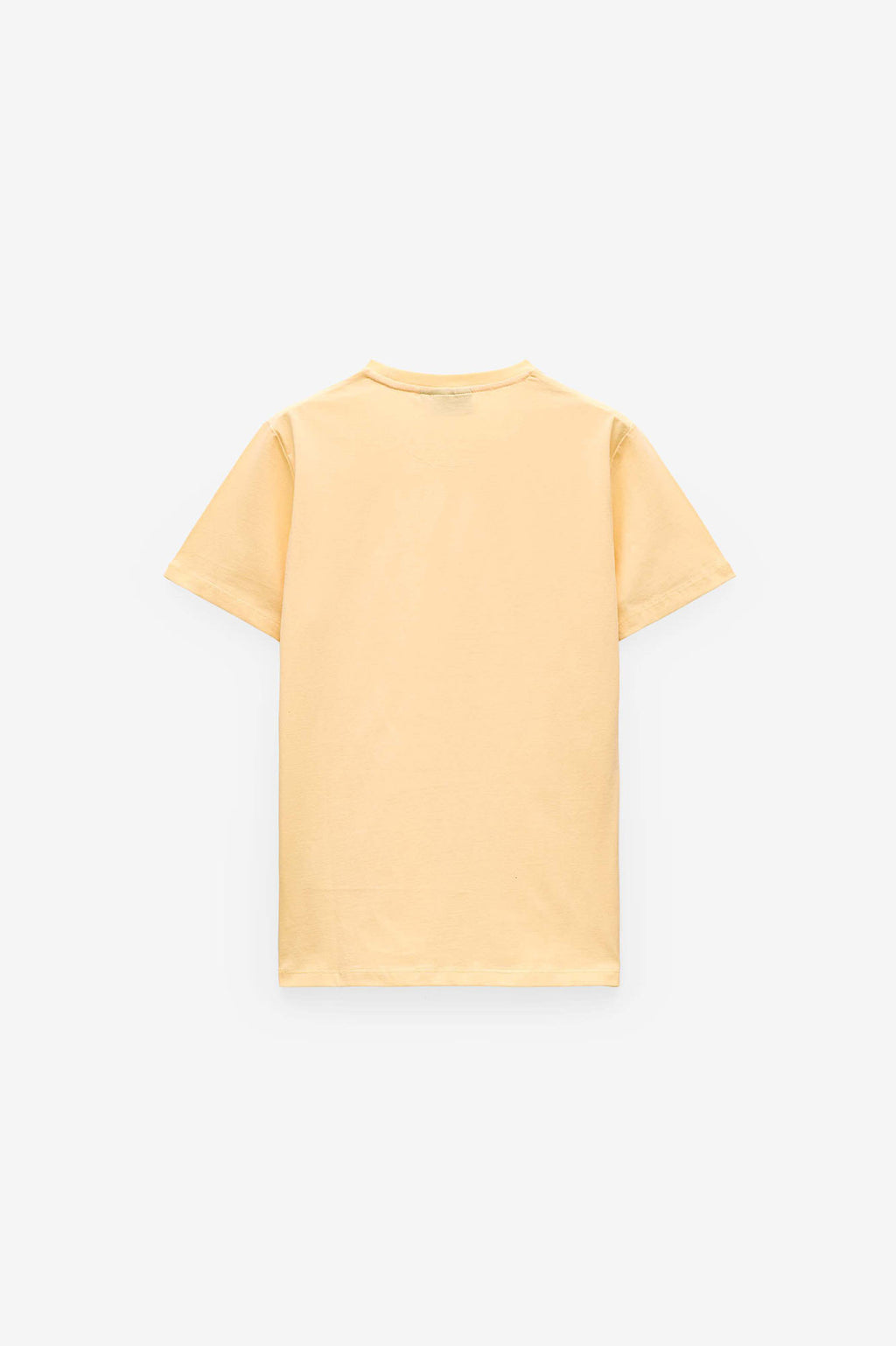 T-SHIRT PRINT PALMEIRA